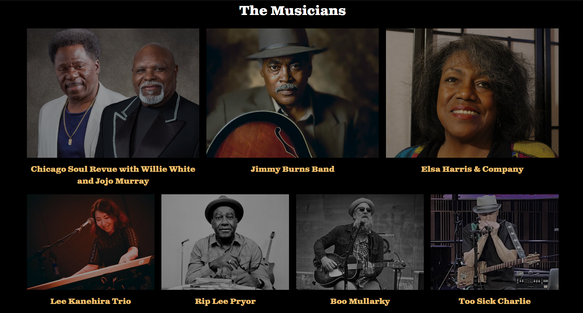 Mineral Point Blues Festival